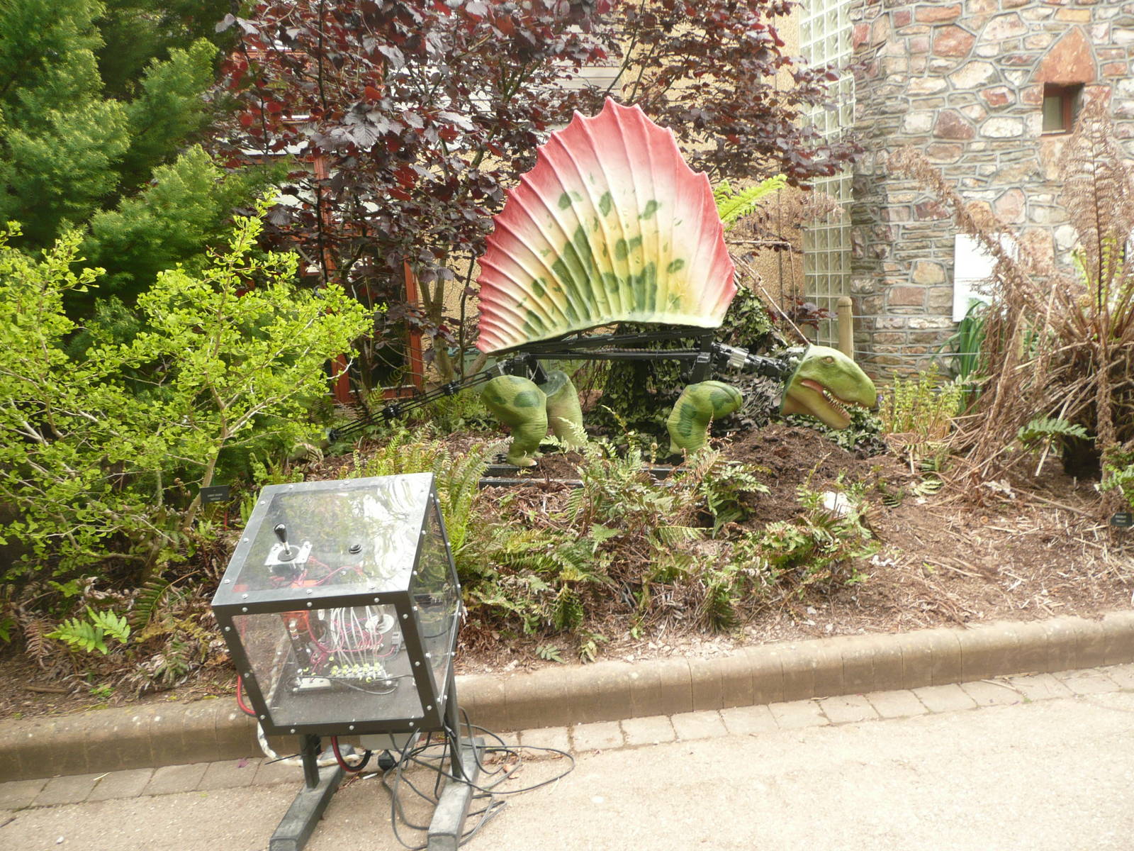 Dinosaurs being installed