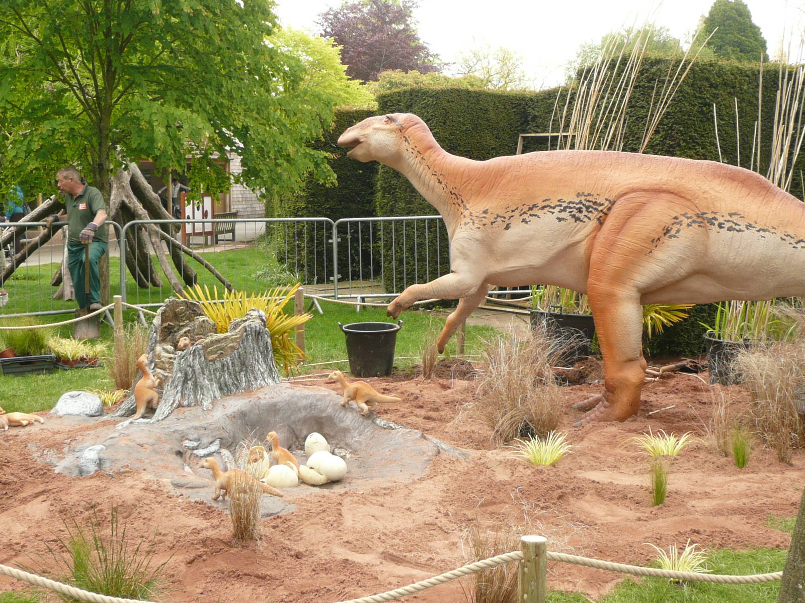 Dinosaurs being installed