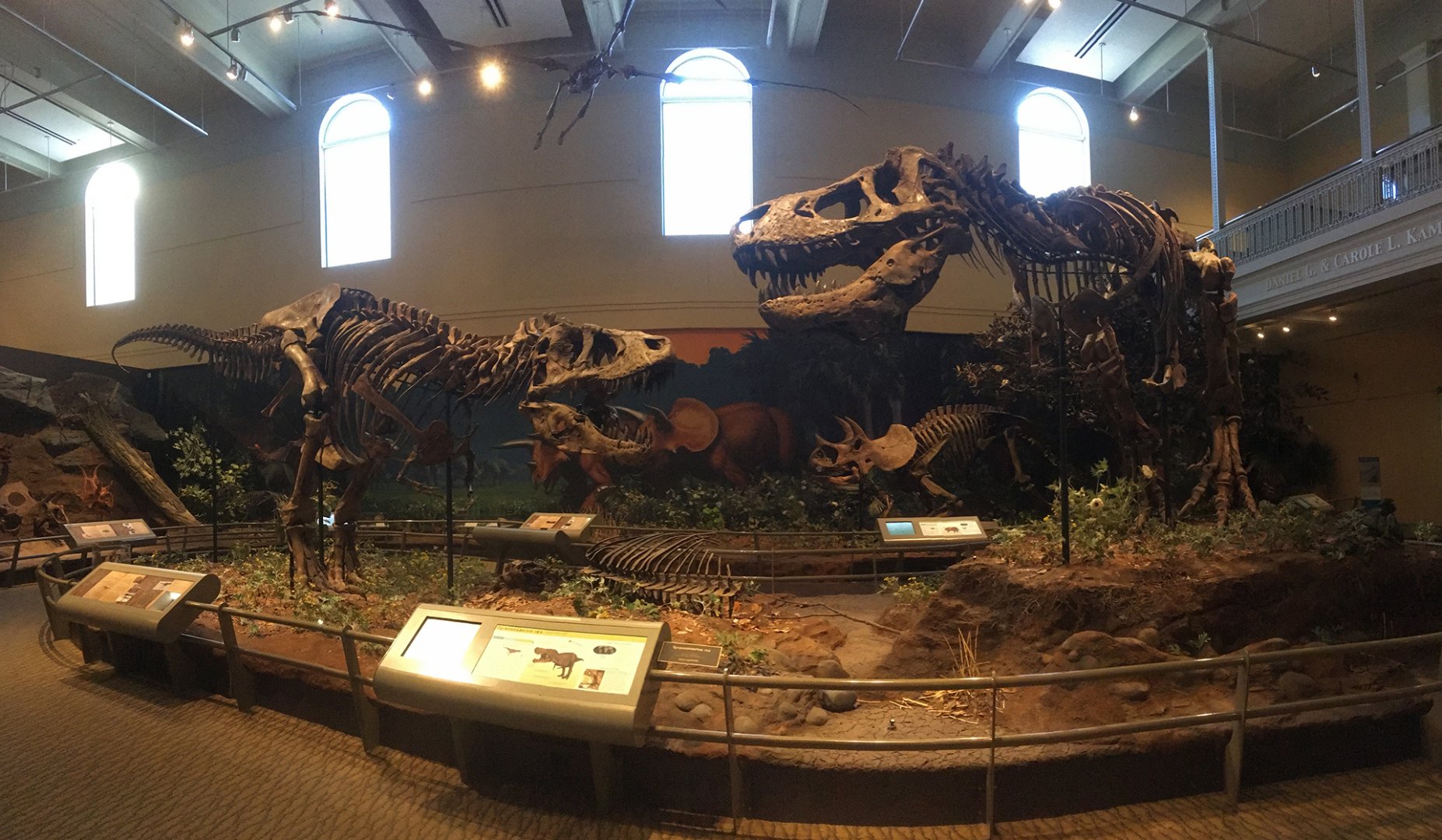 Dinosaurs In Their Time Battling T-Rexes