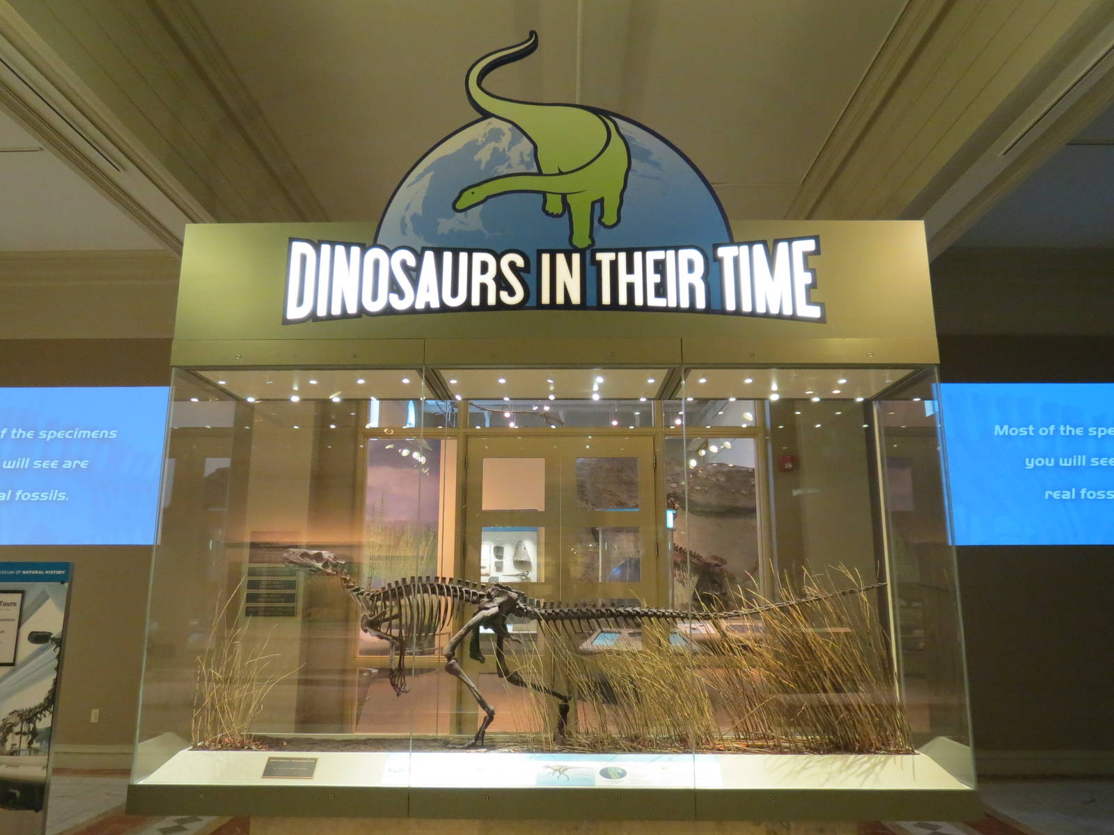 Dinosaurs In Their Time