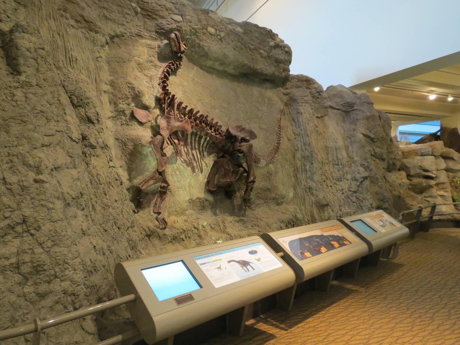 Dinosaurs In Their Time