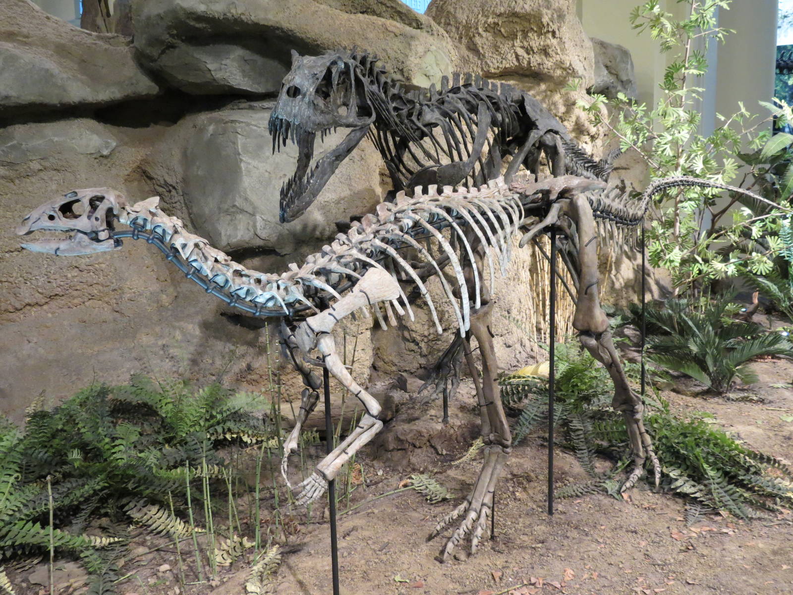 Dinosaurs In Their Time