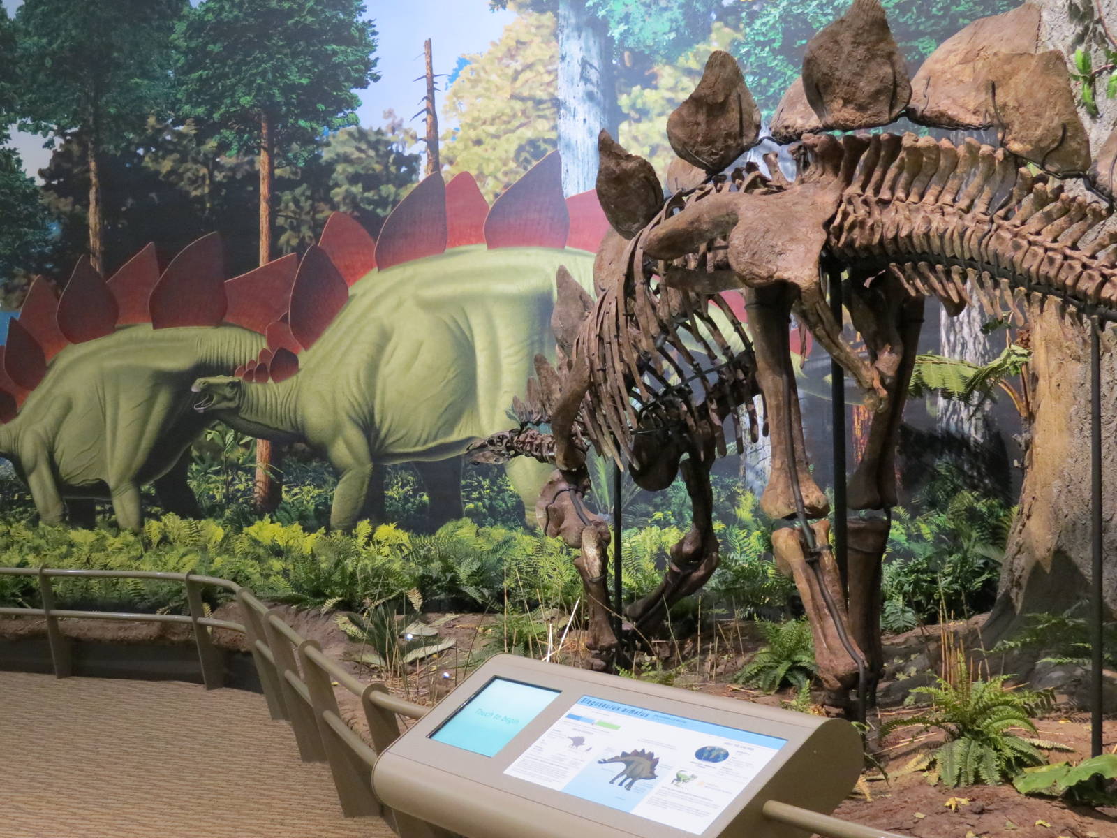 Dinosaurs In Their Time