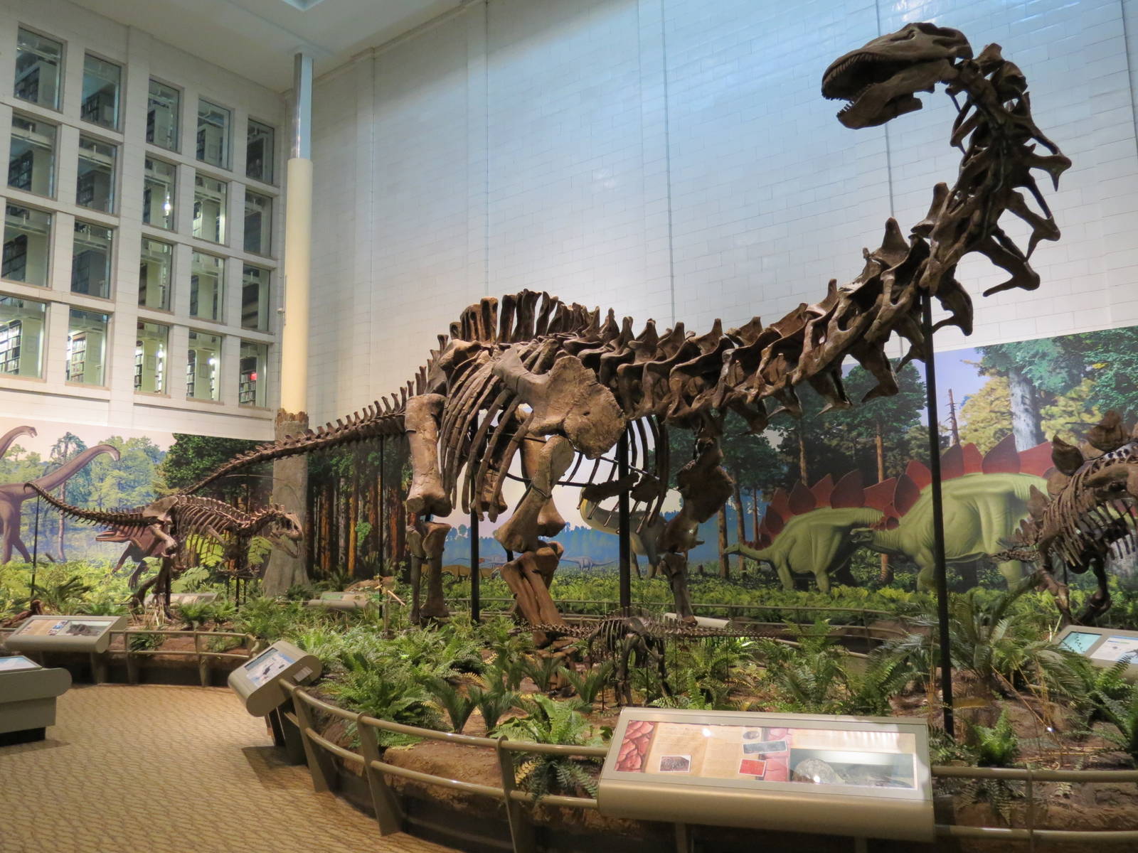 Dinosaurs In Their Time