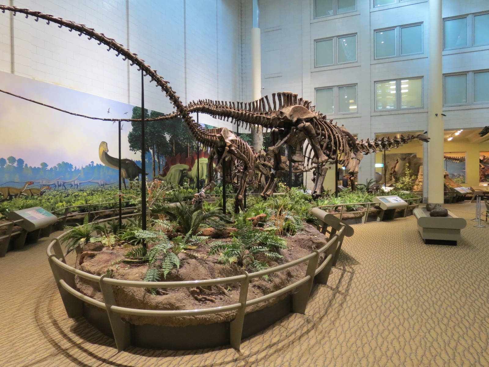 Dinosaurs In Their Time