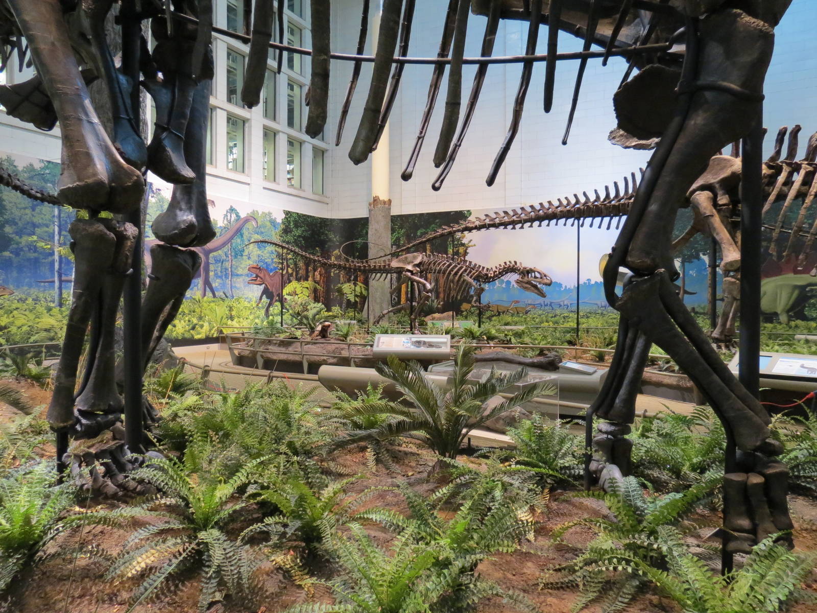 Dinosaurs In Their Time