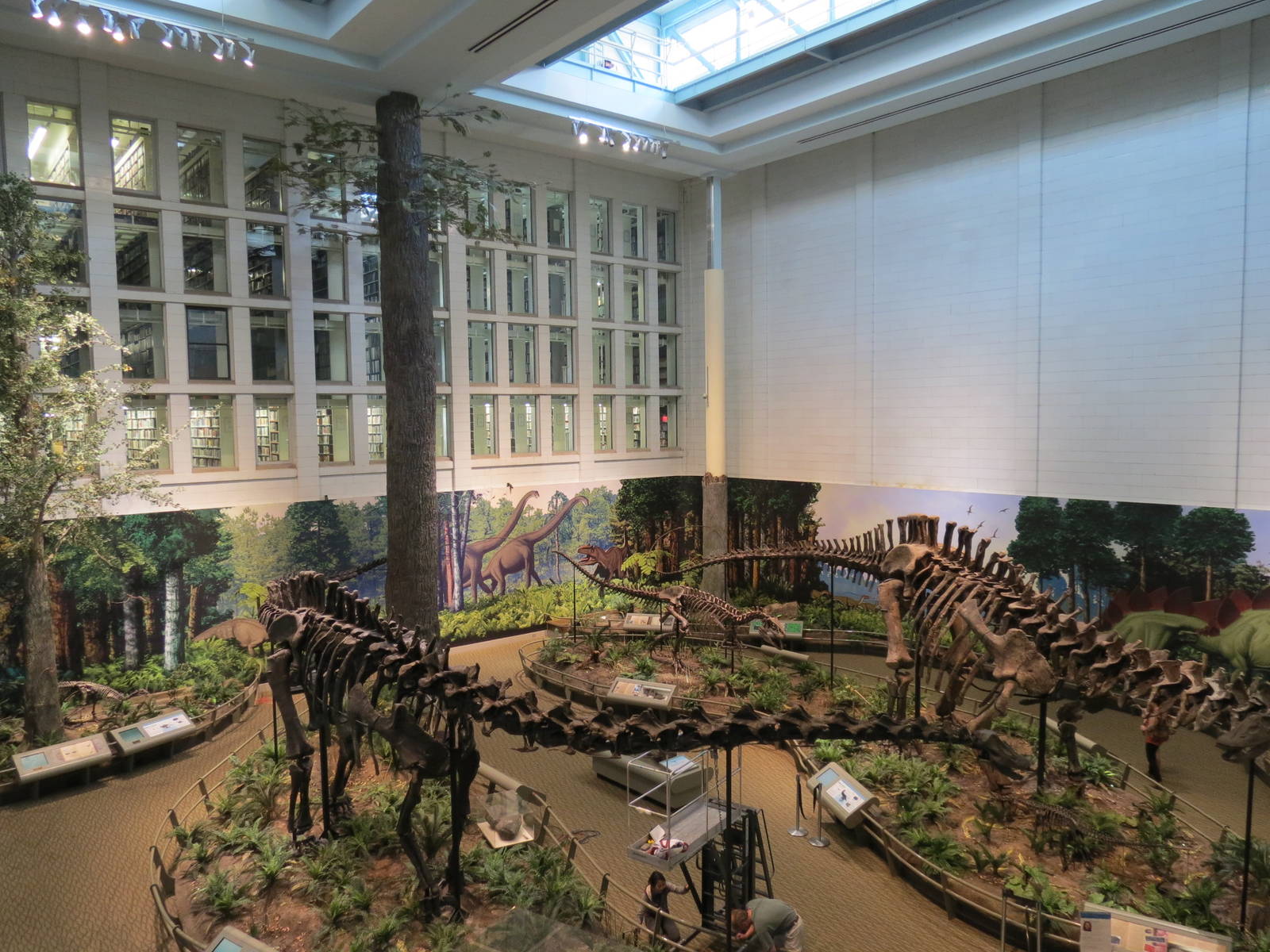 Dinosaurs In Their Time