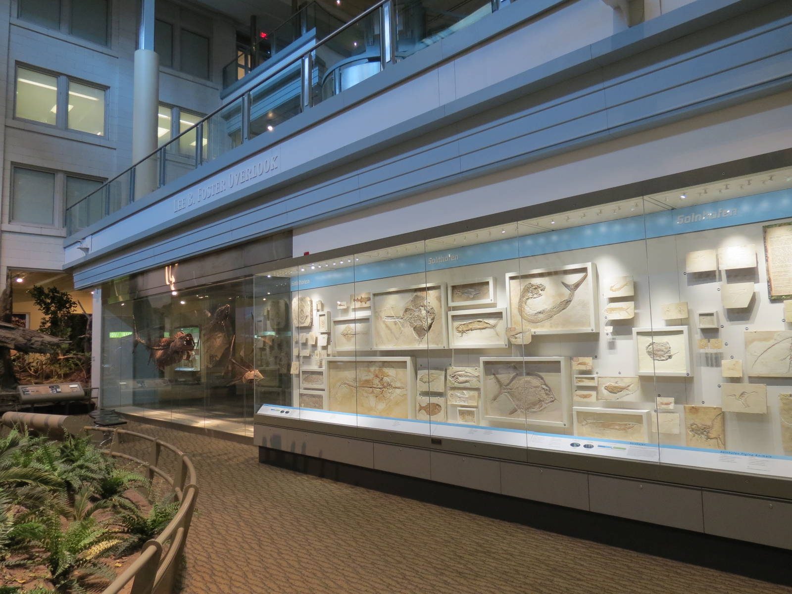 Dinosaurs In Their Time