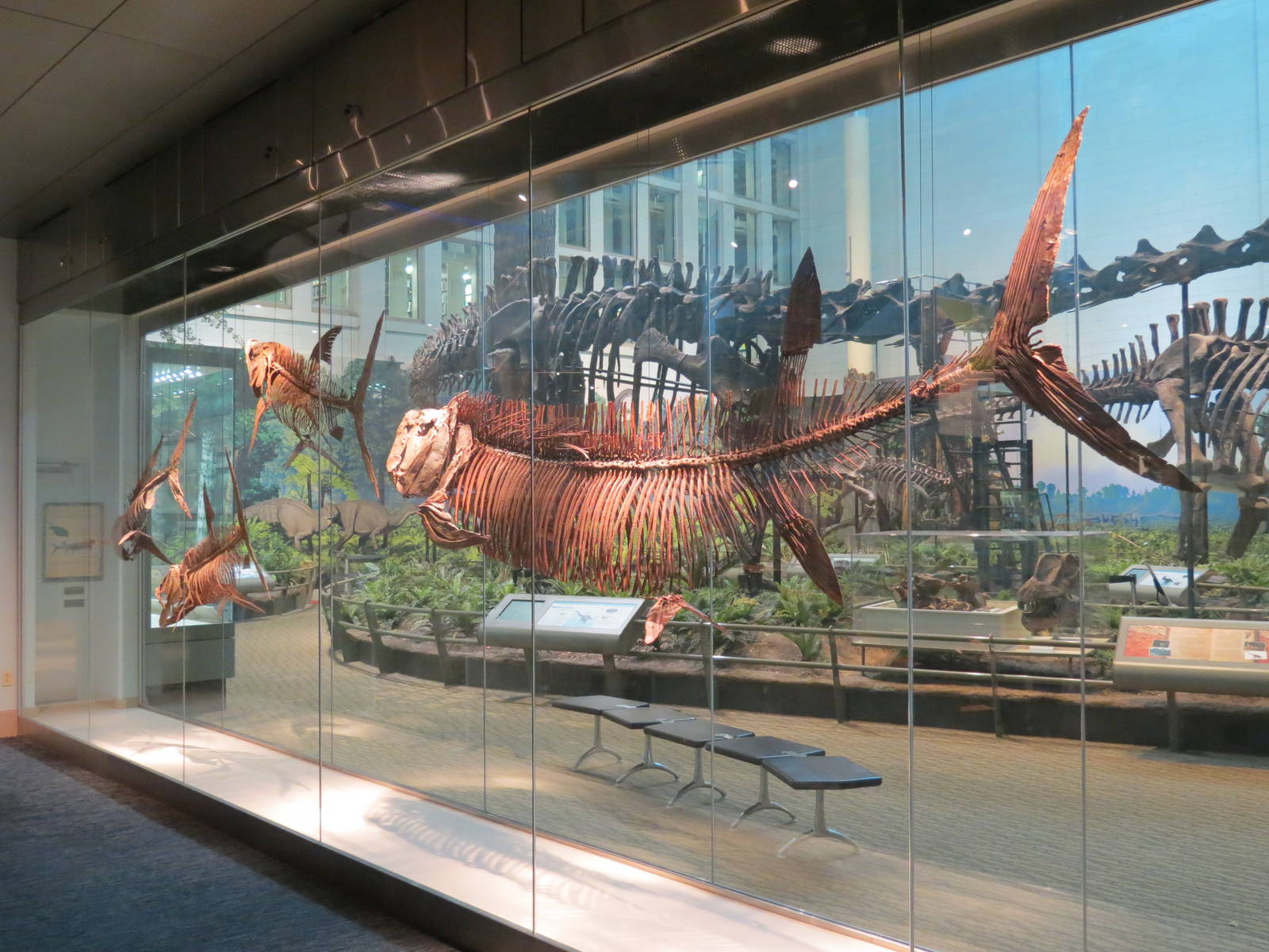 Dinosaurs In Their Time