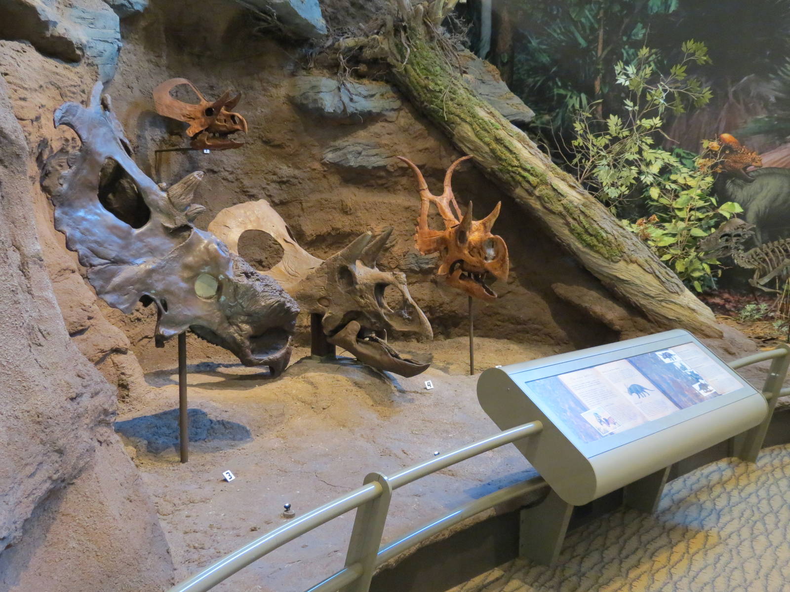 Dinosaurs In Their Time