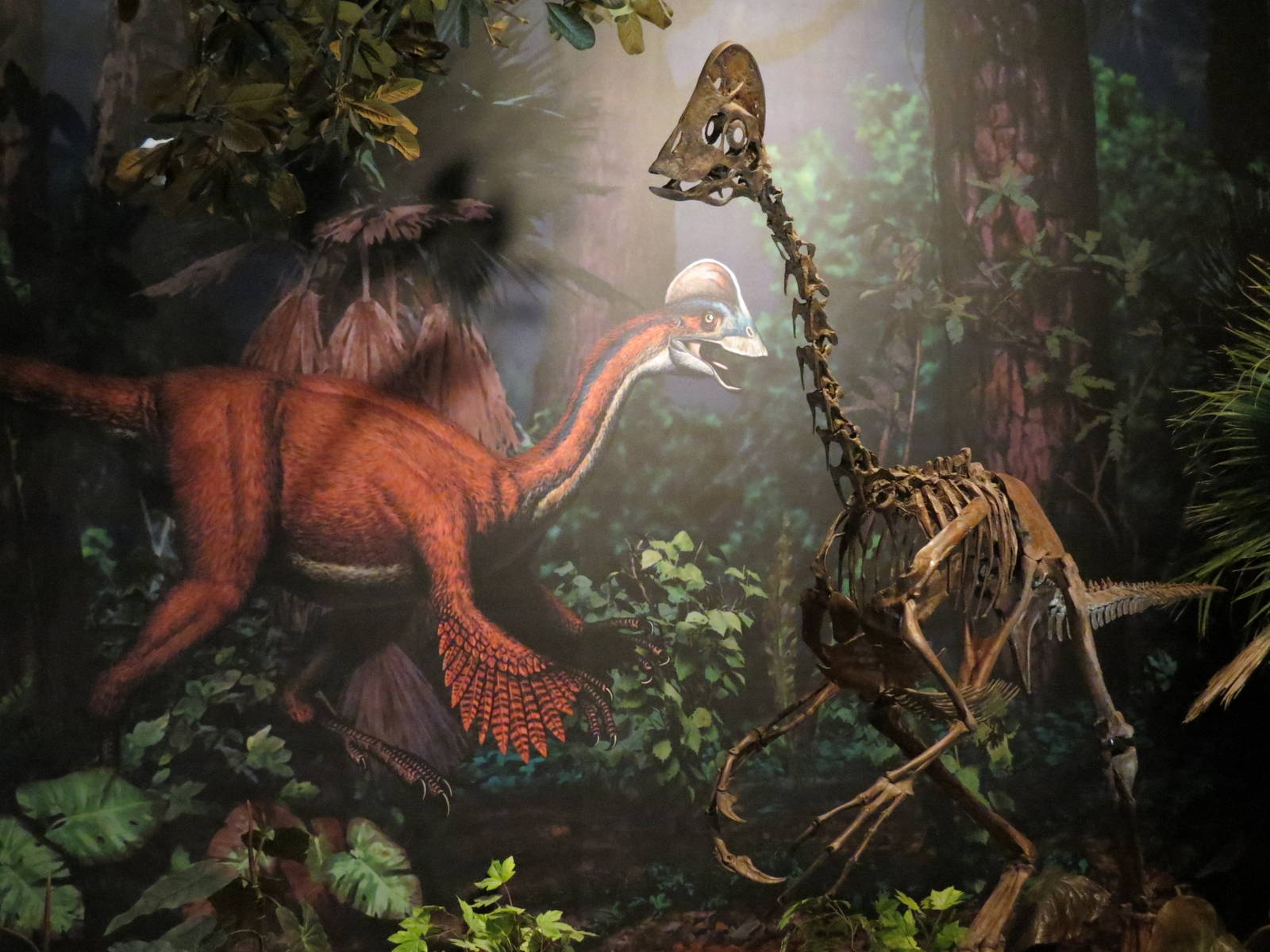 Dinosaurs In Their Time