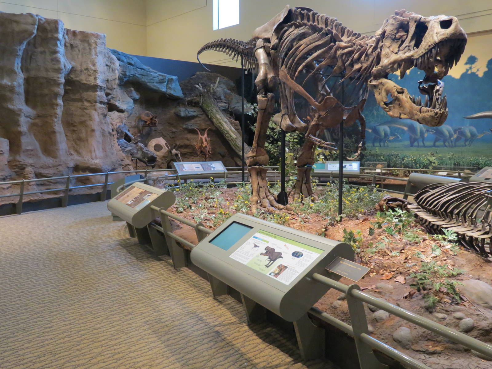 Dinosaurs In Their Time