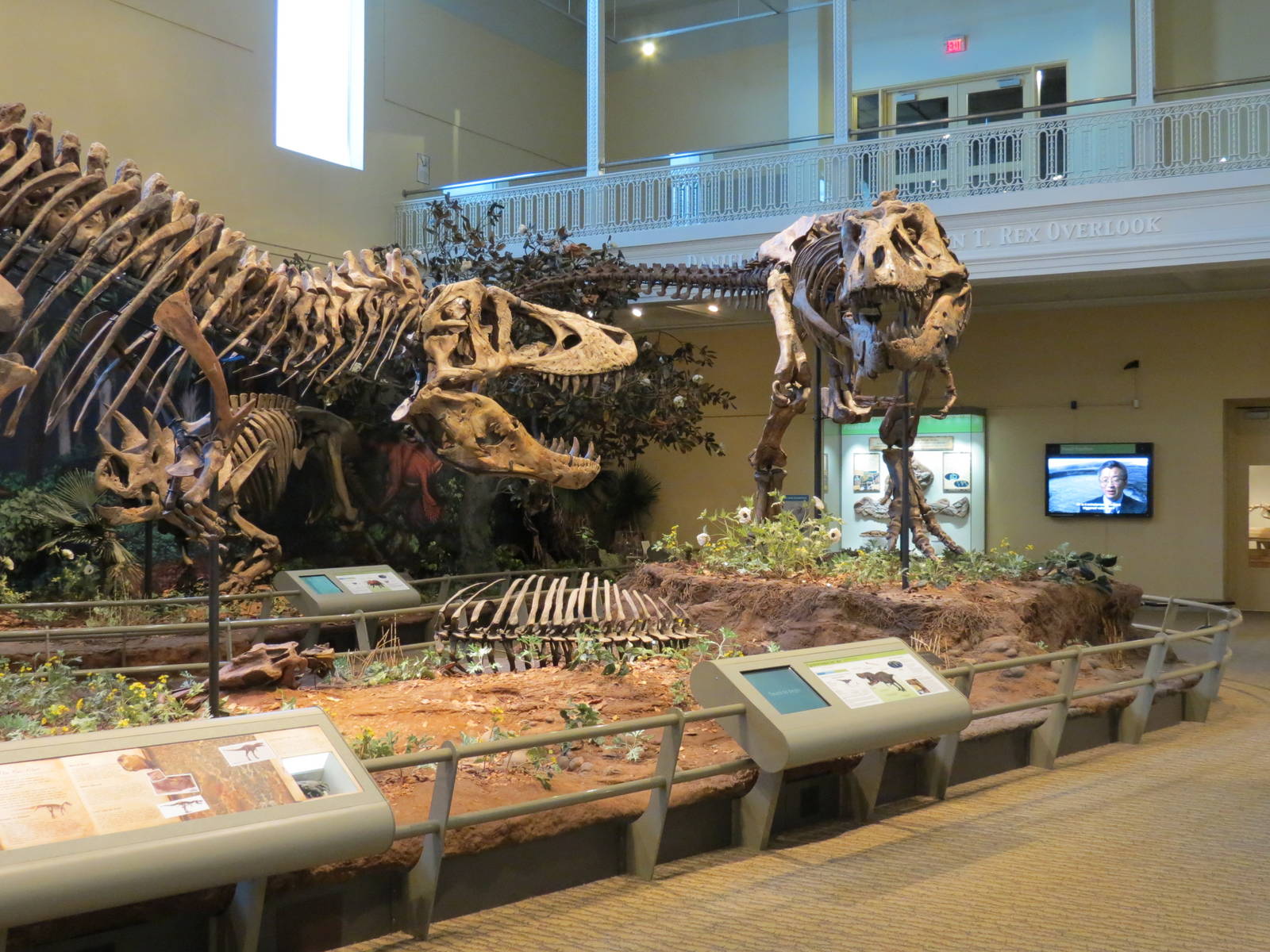 Dinosaurs In Their Time