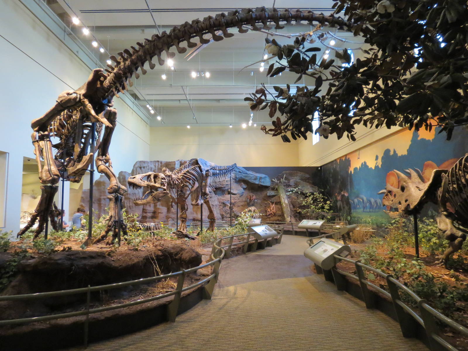 Dinosaurs In Their Time