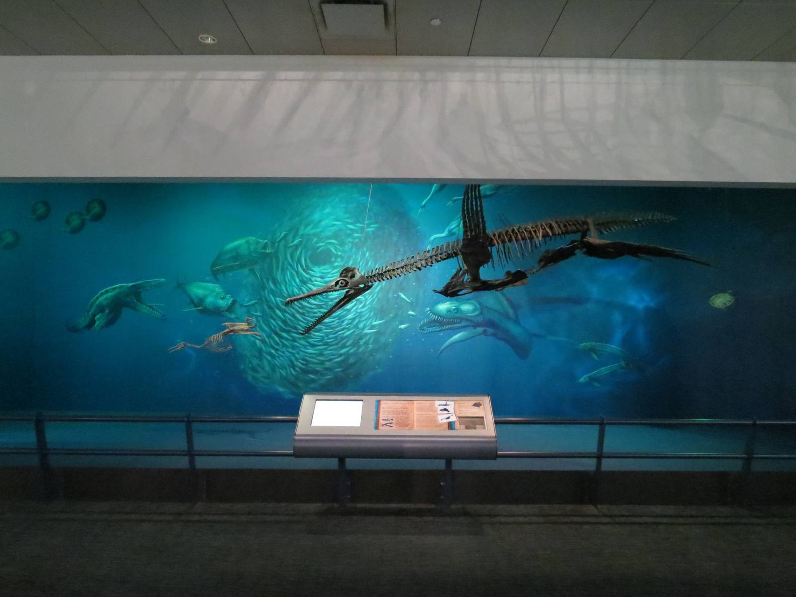 Dinosaurs In Their Time