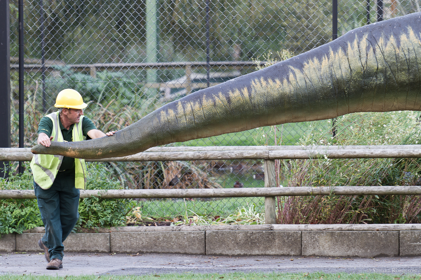 Dinosaurs Leave the Zoo - 12/10/2011
