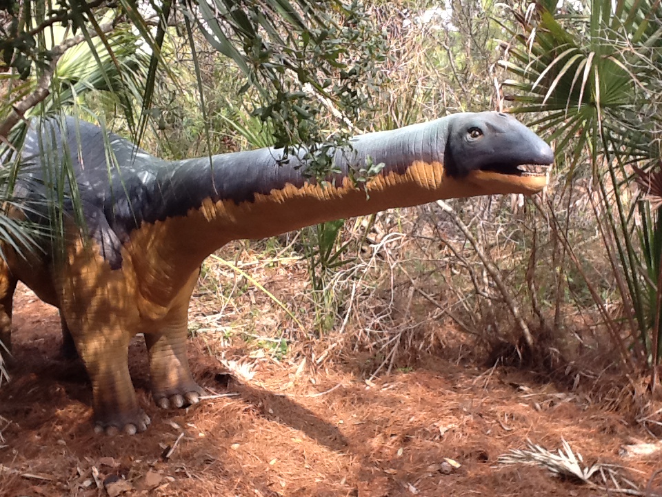 Dinosaurs Living or Dead- Apatosaurus