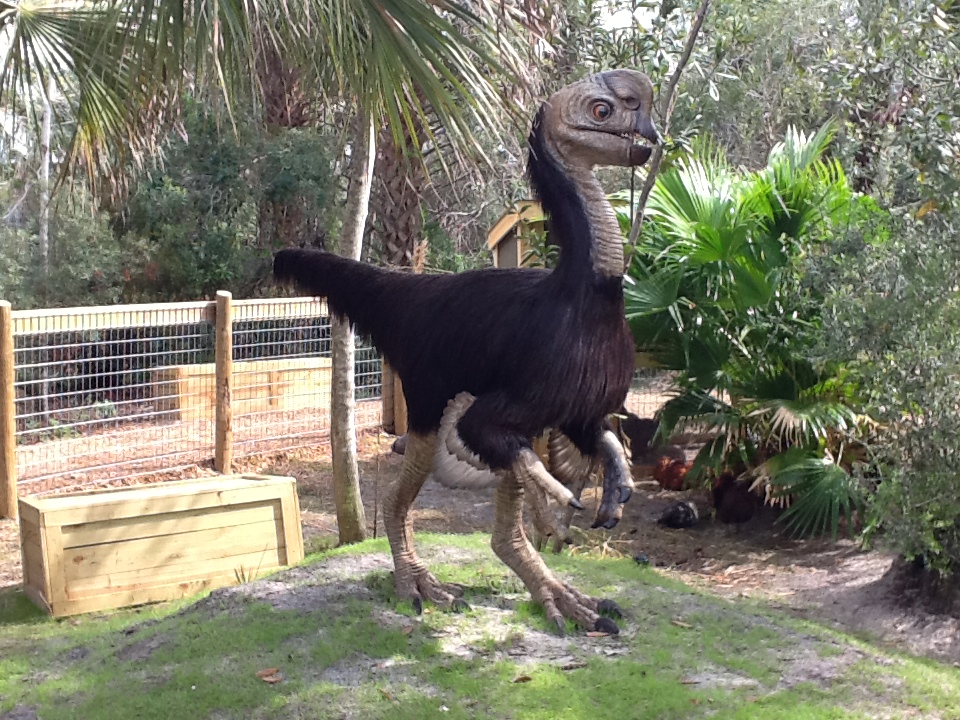 Dinosaurs Living or Dead- Citipati & Chickens