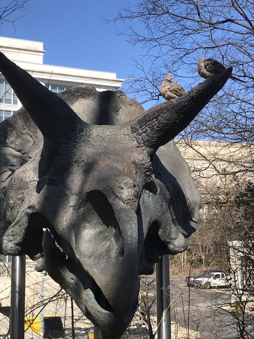 Dinosaurs on a Dinosaur