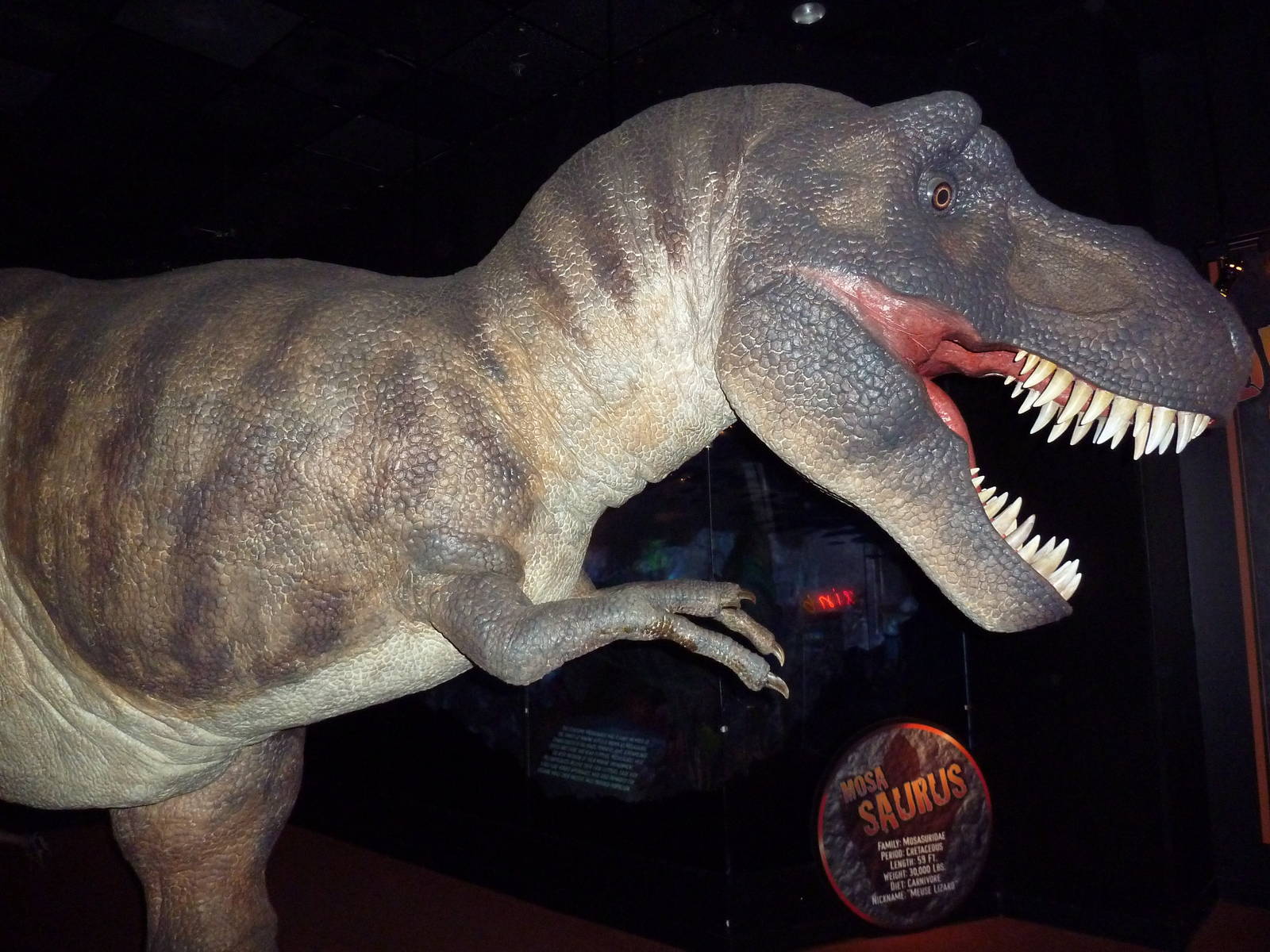 Dinosaurs - Temporary Gallery