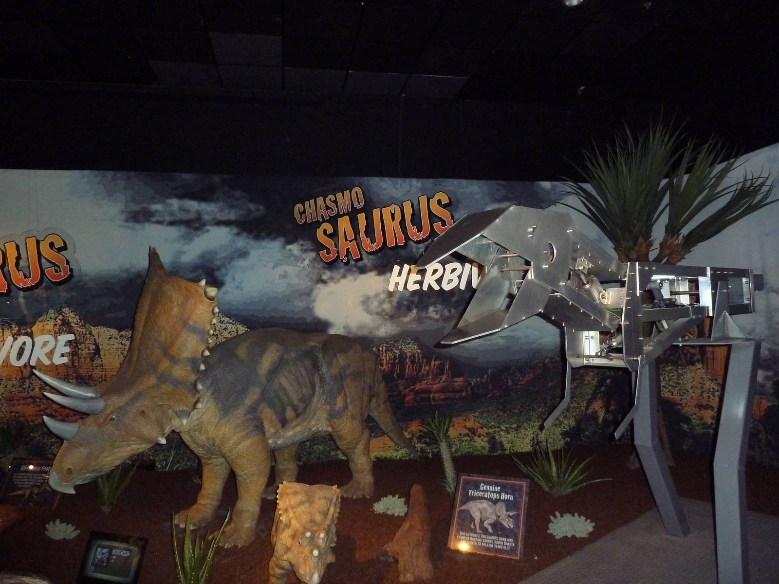 Dinosaurs - Temporary Gallery