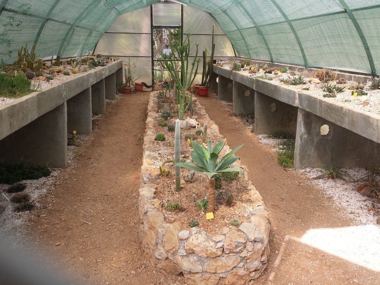 Diomedes's Botanical Garden