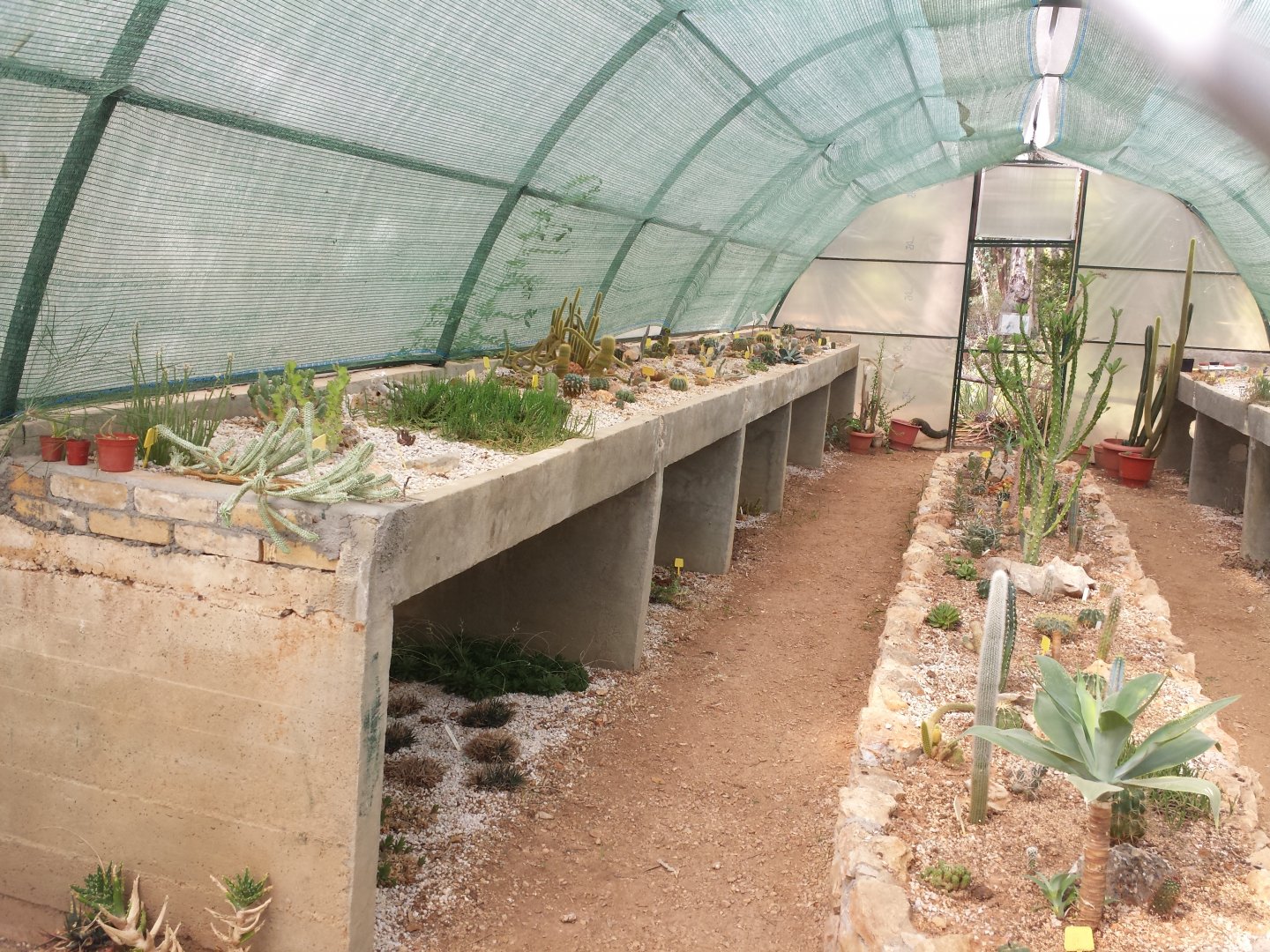 Diomedes's Botanical Garden