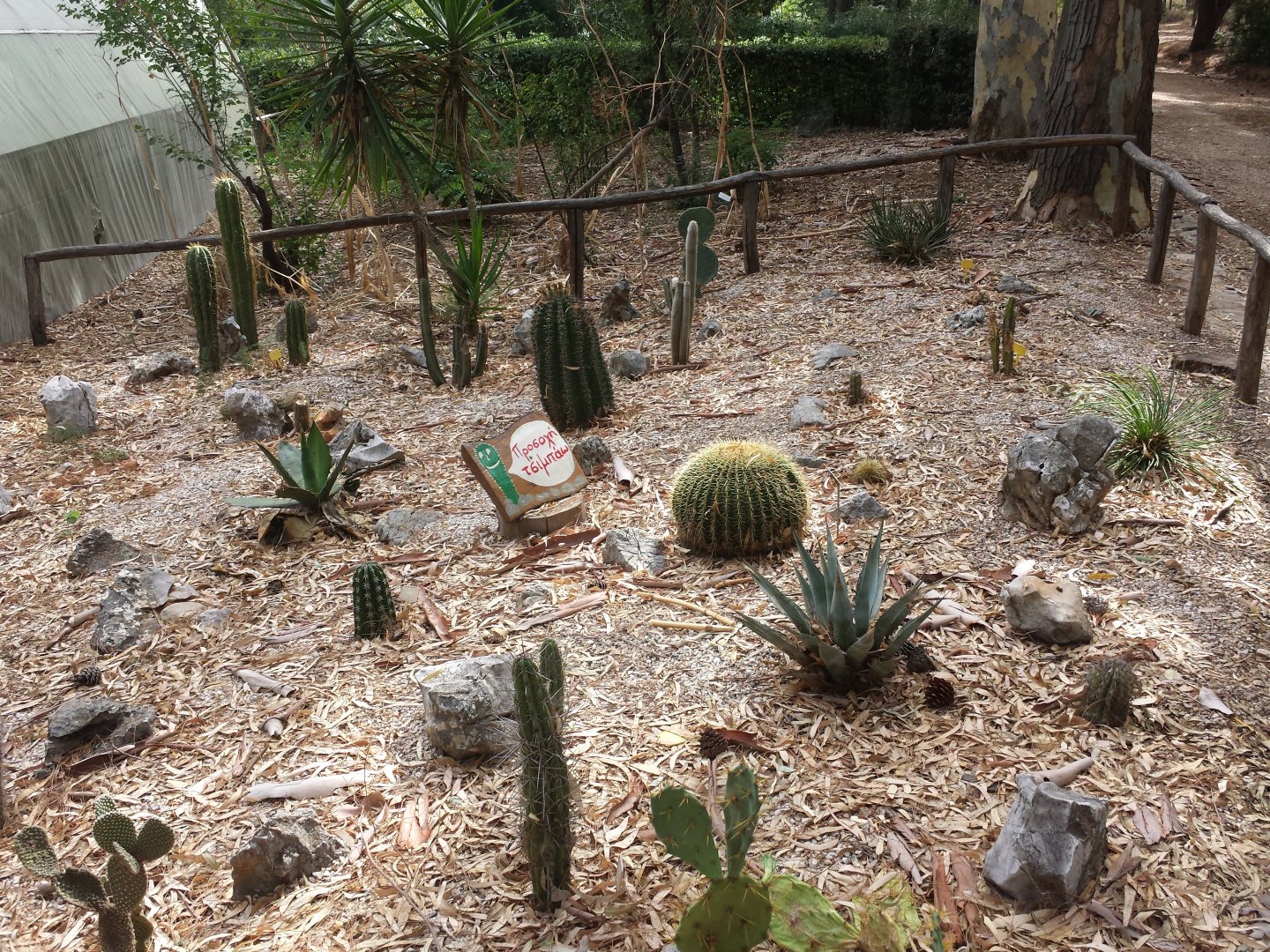 Diomedes's Botanical Garden