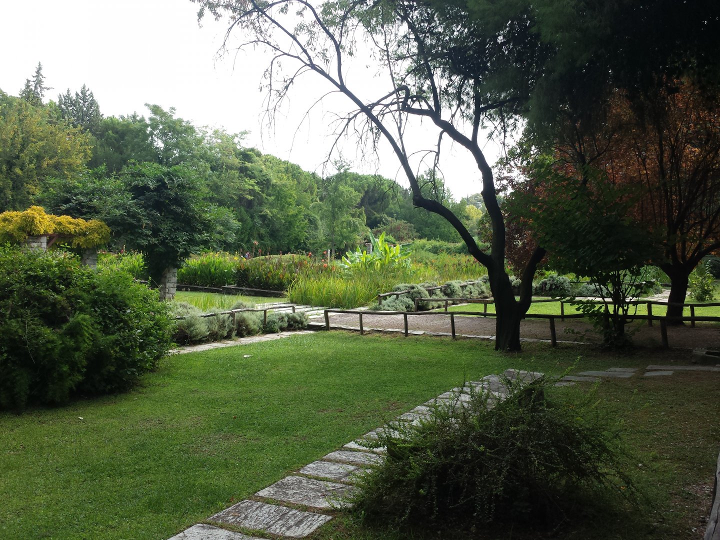 Diomedes's Botanical Garden
