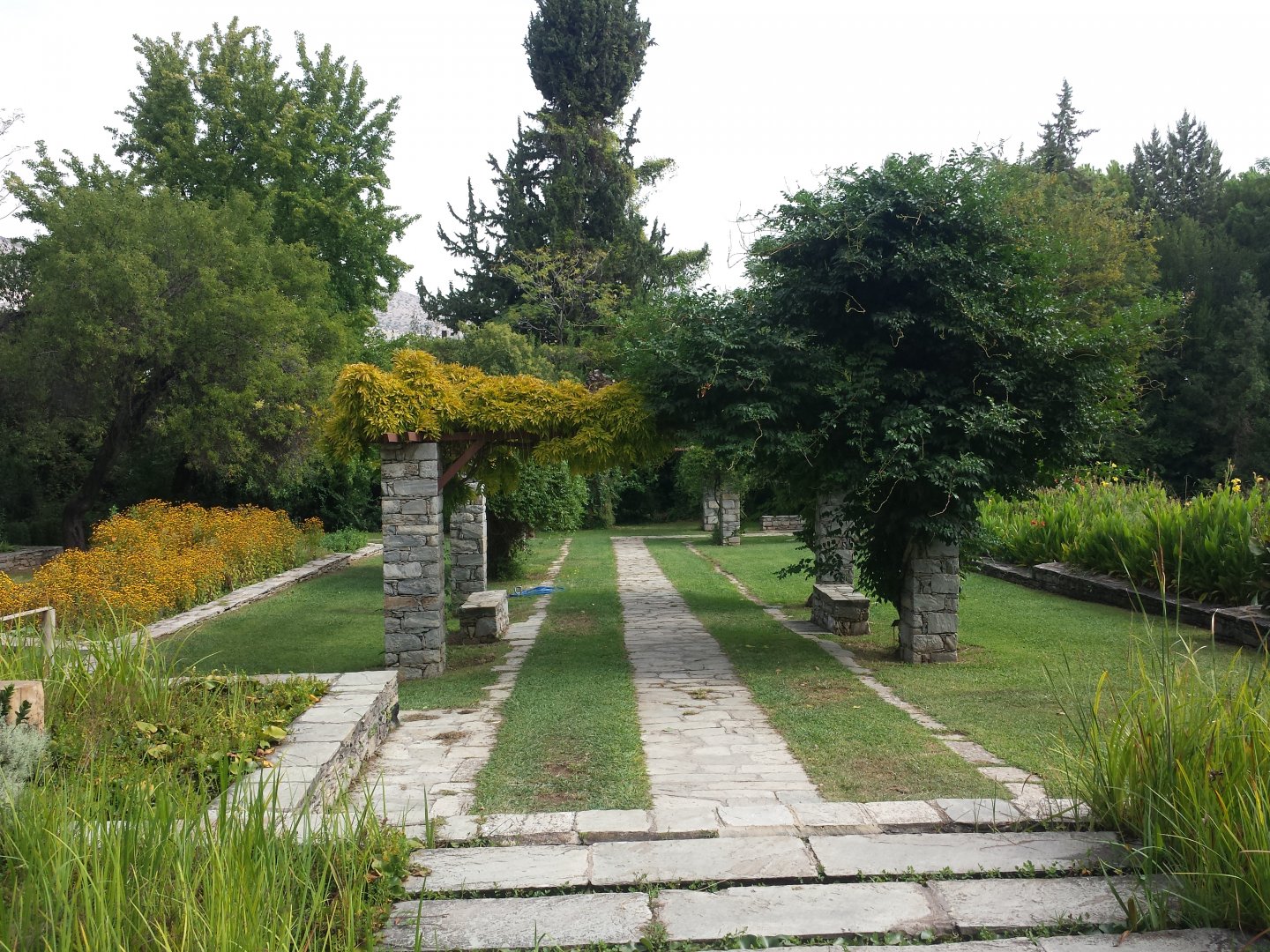 Diomedes's Botanical Garden