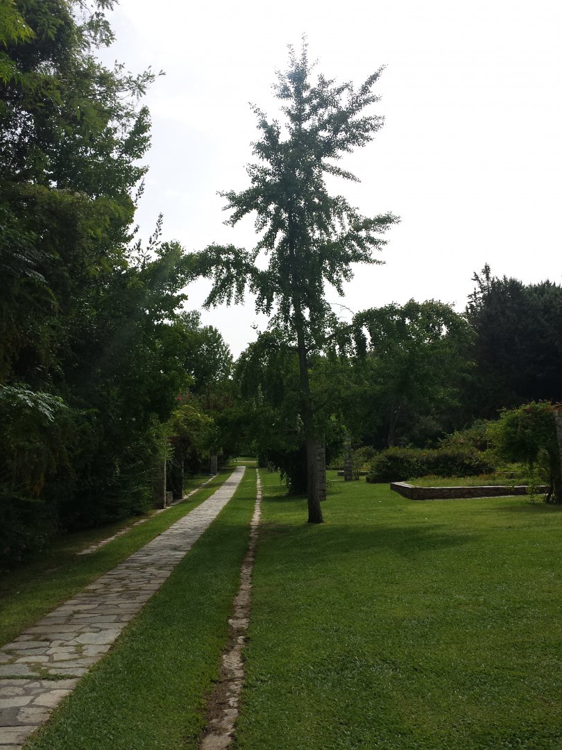 Diomedes's Botanical Garden