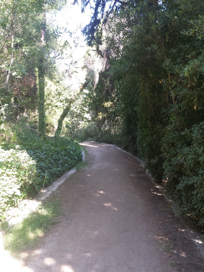 Diomedes's Botanical Garden