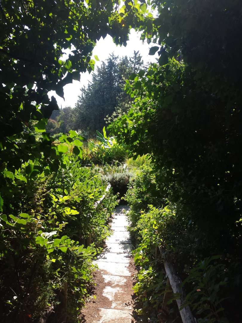 Diomedes's Botanical Garden