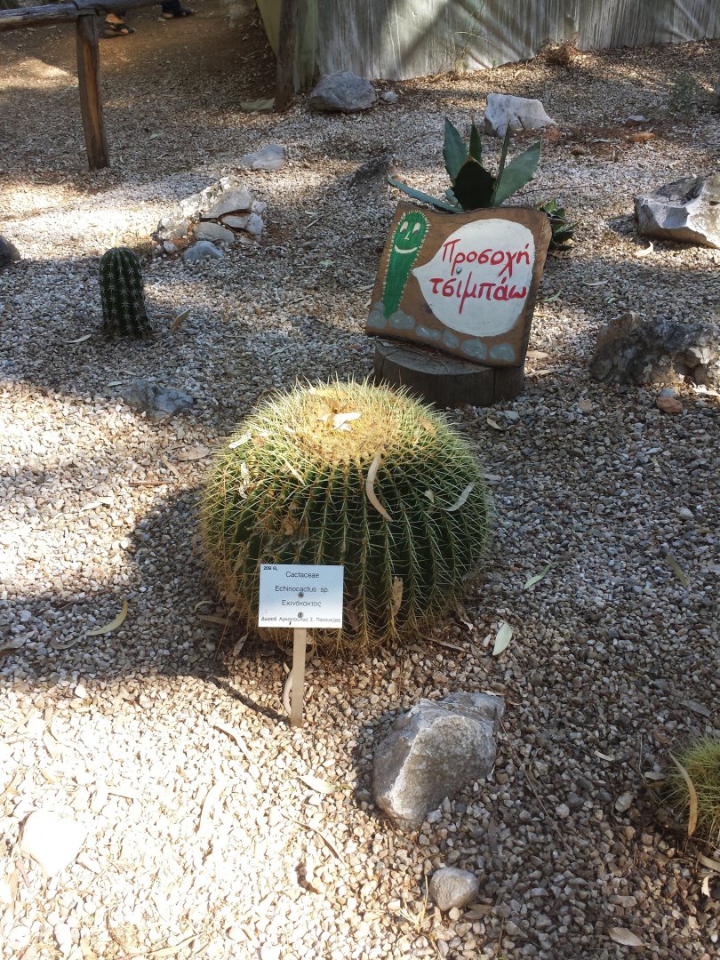 Diomedes's Botanical Garden