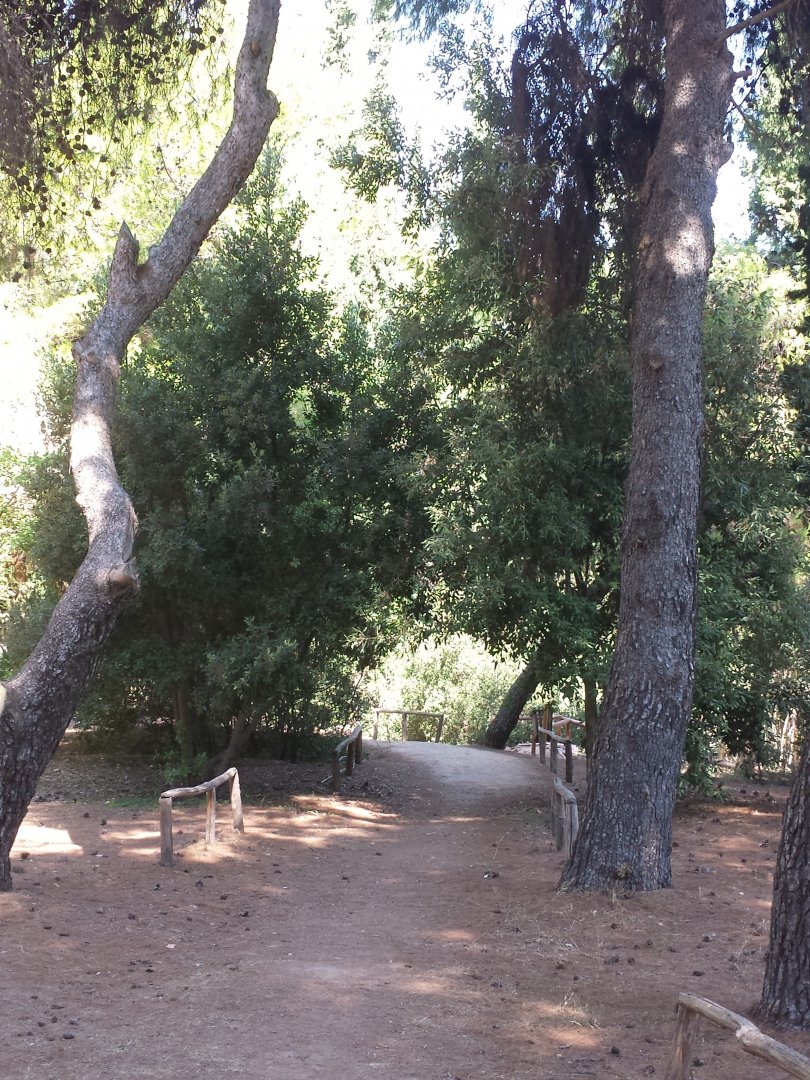 Diomedes's Botanical Garden