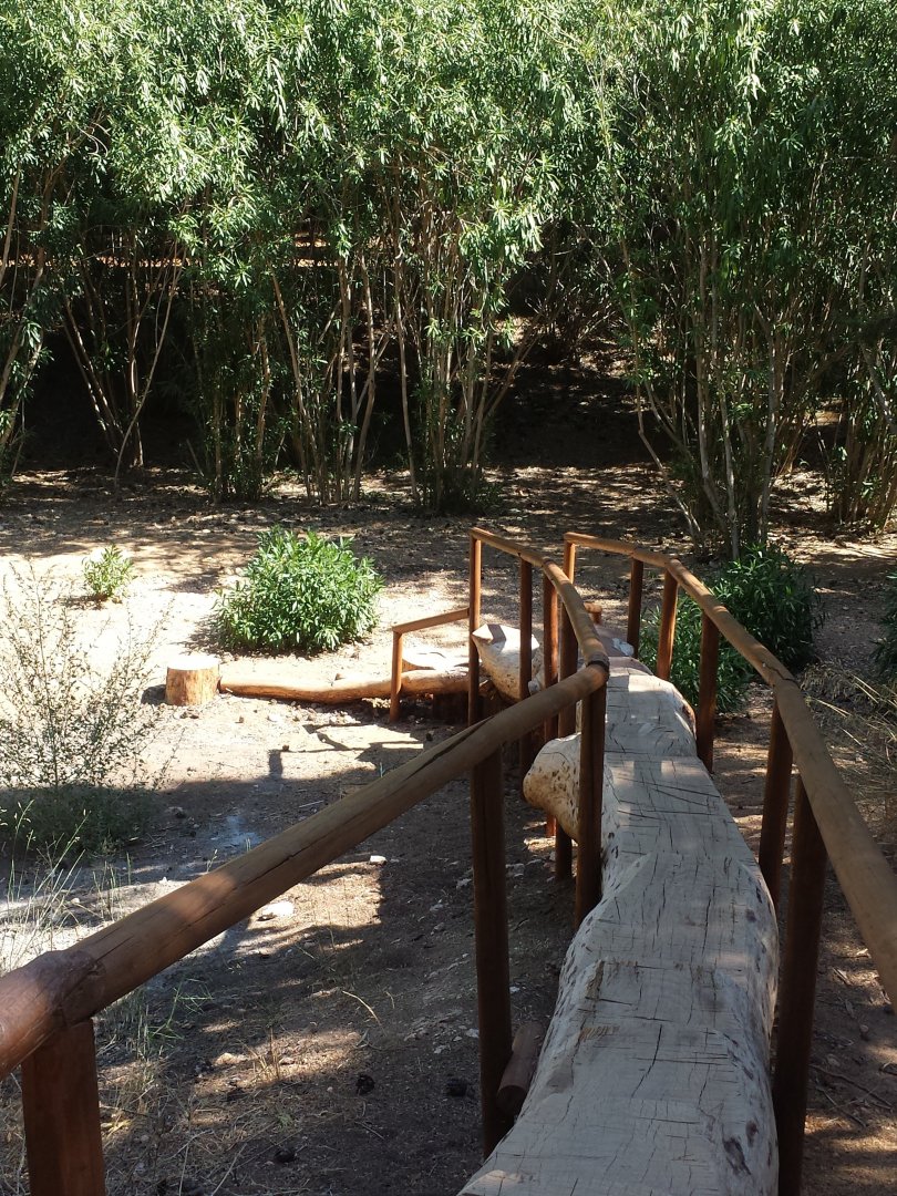 Diomedes's Botanical Garden