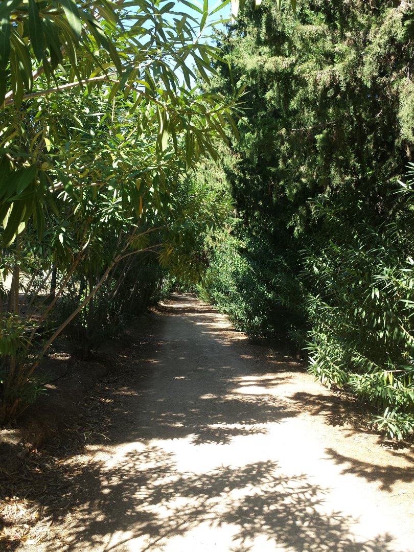 Diomedes's Botanical Garden