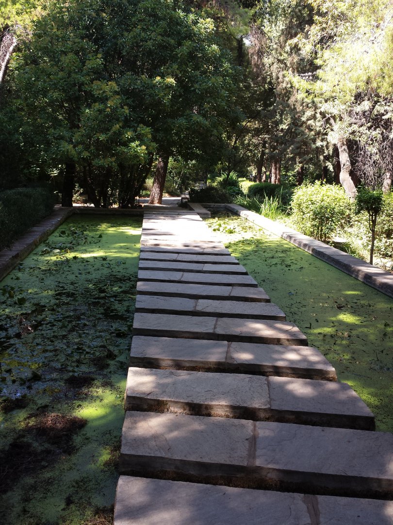 Diomedes's Botanical Garden