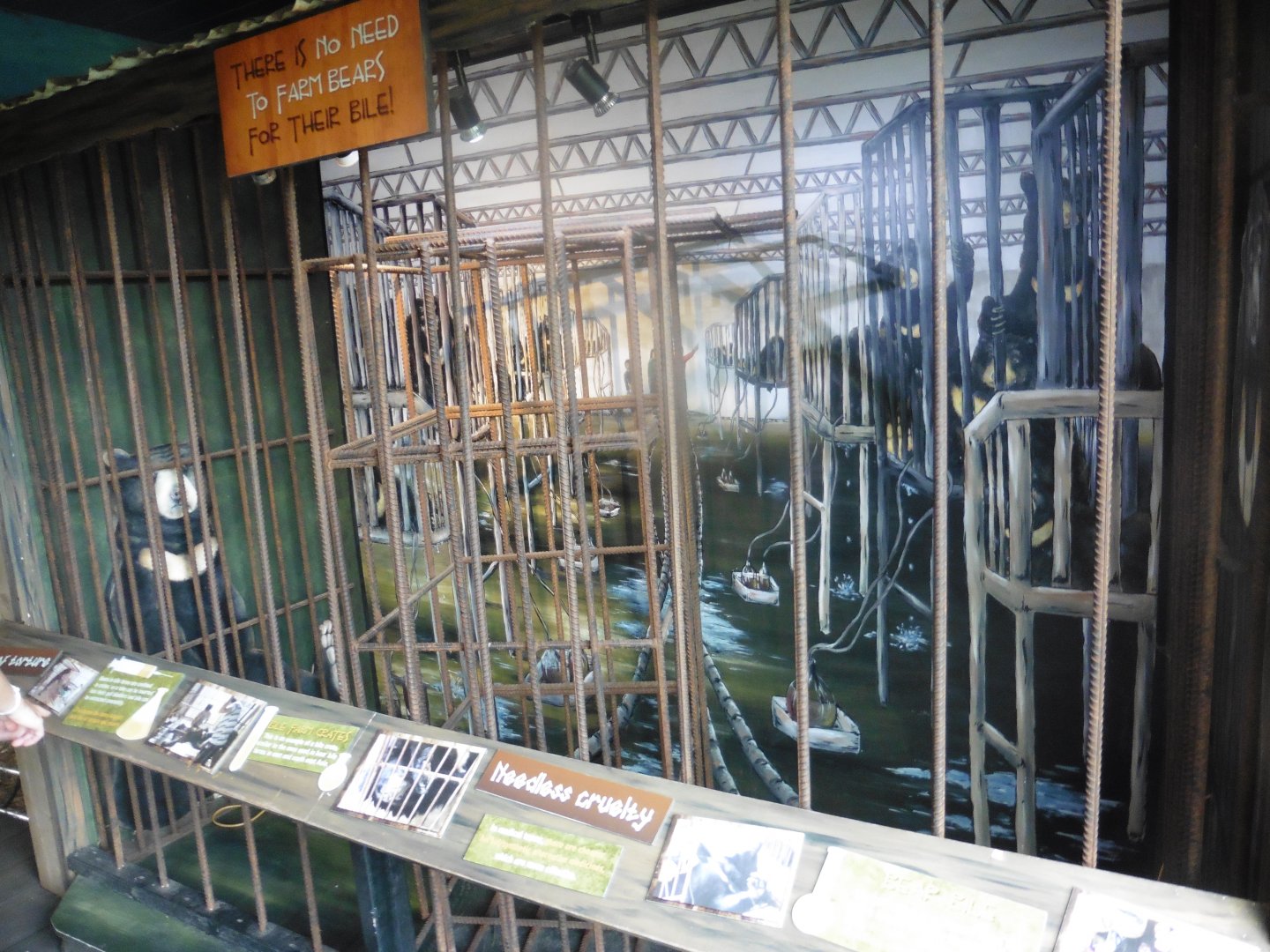 Diorama about the vile bear bile duct trade