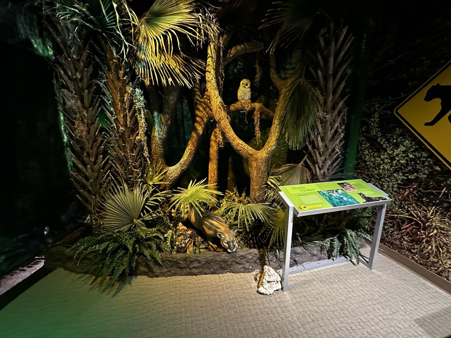 Diorama
