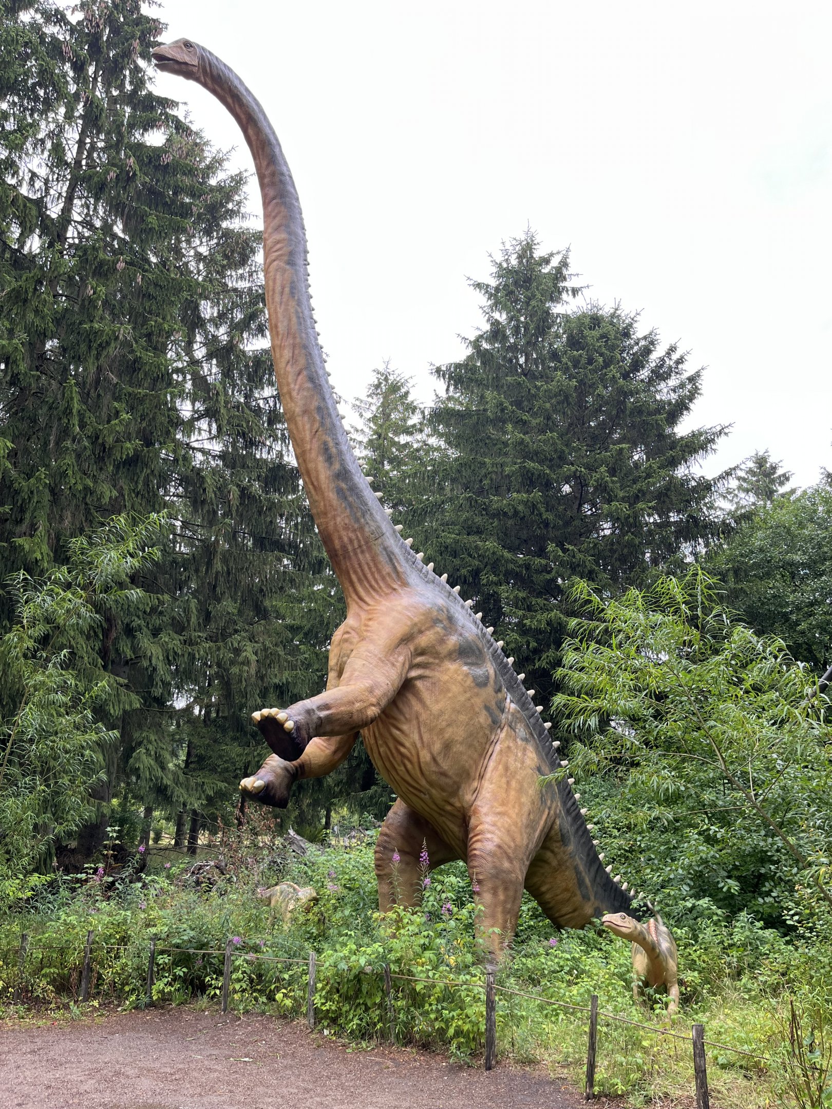 Diplodocus