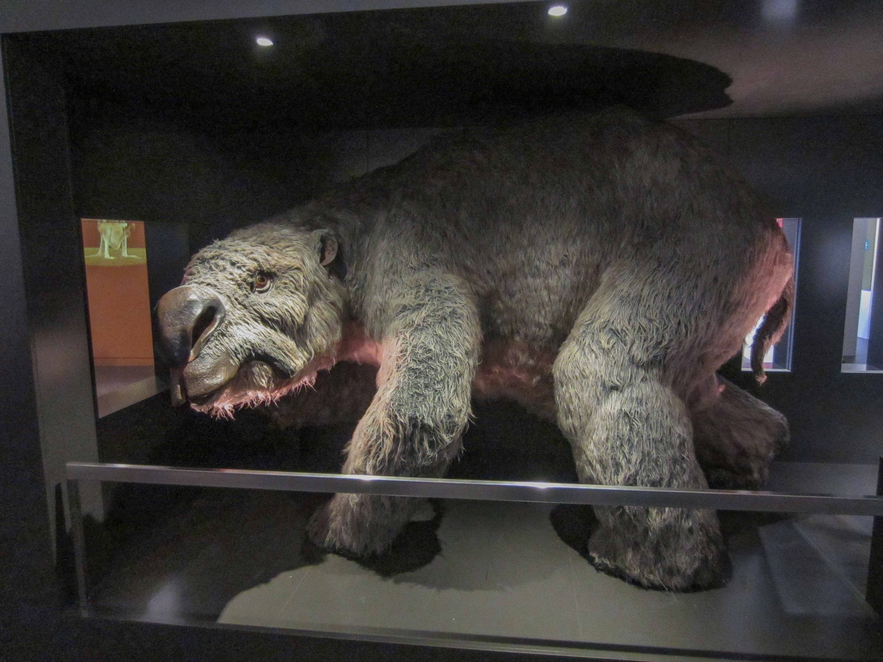 Diprotodon
