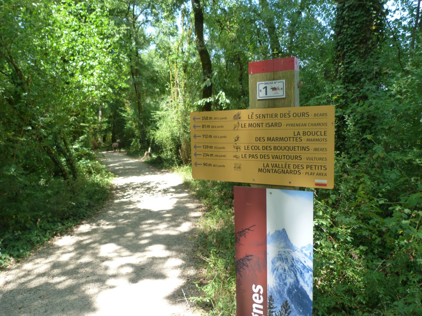 Direction signs -Zoodyssée (2025)