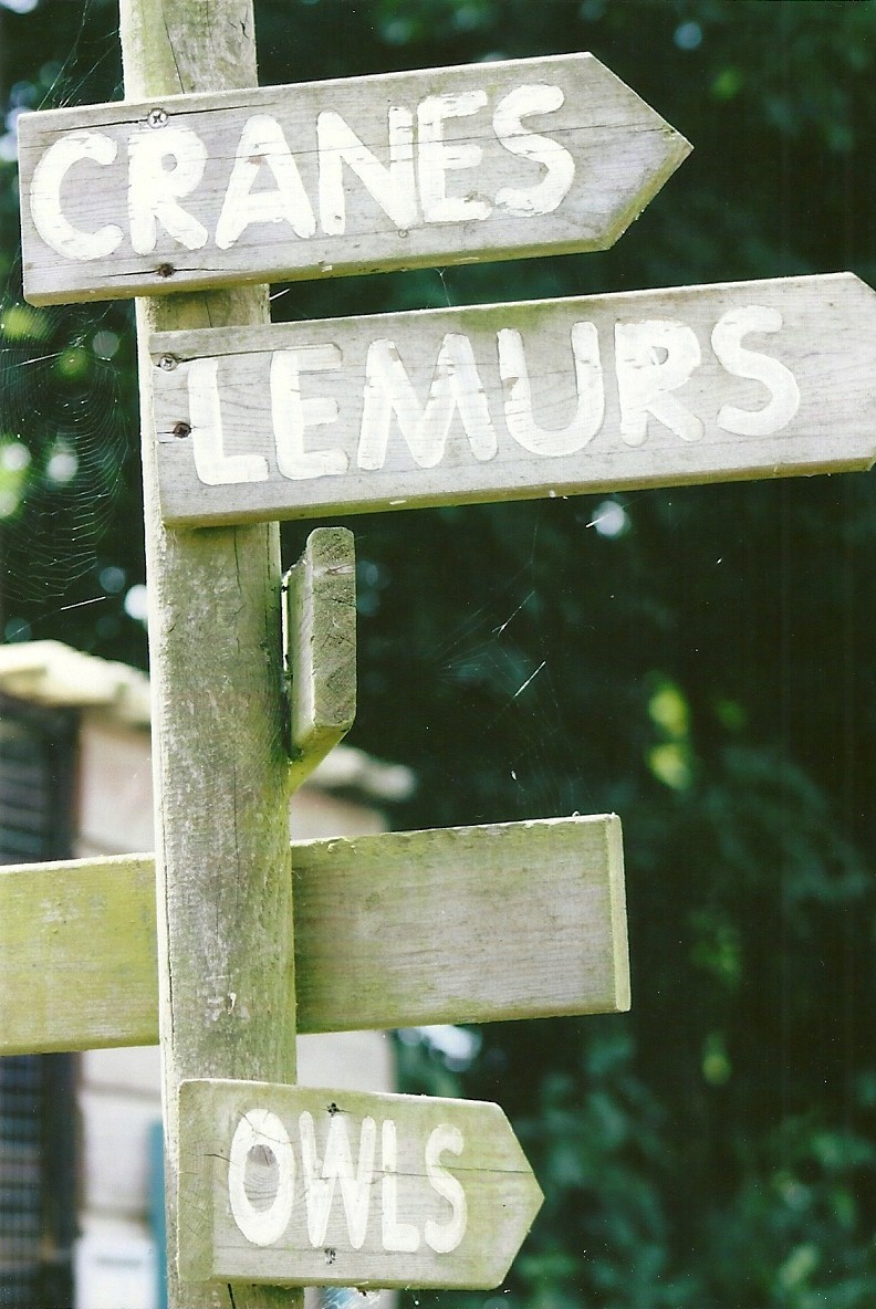 Directional sign 11th September 2012