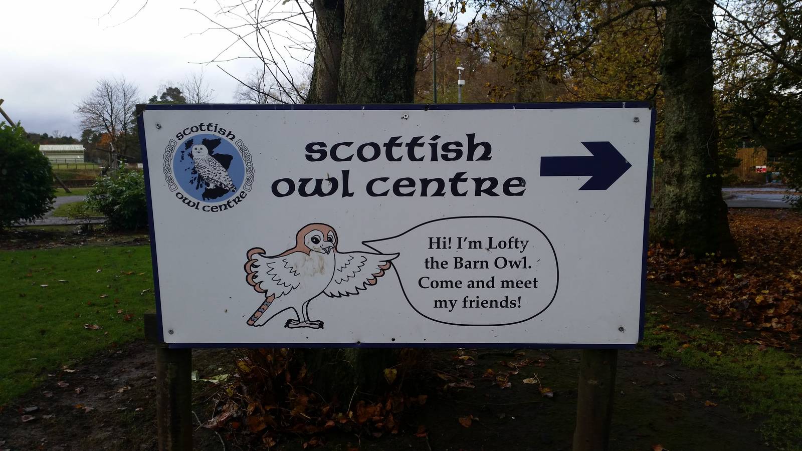 Directional Sign in Car Park