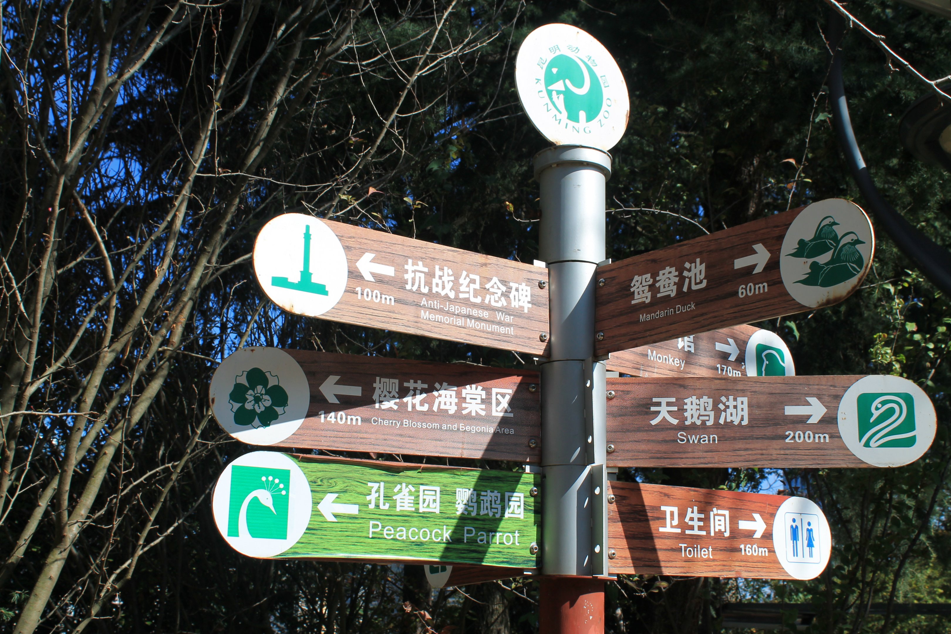 Directional sign-post