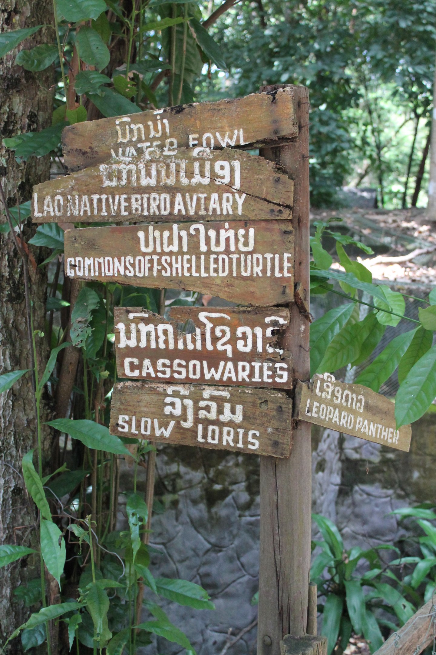 Directional signage