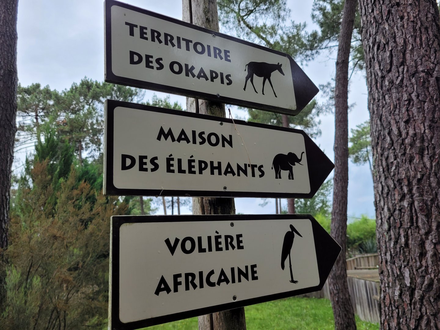 Directional signs -Zoo du bassin d'Arcachon (2024)