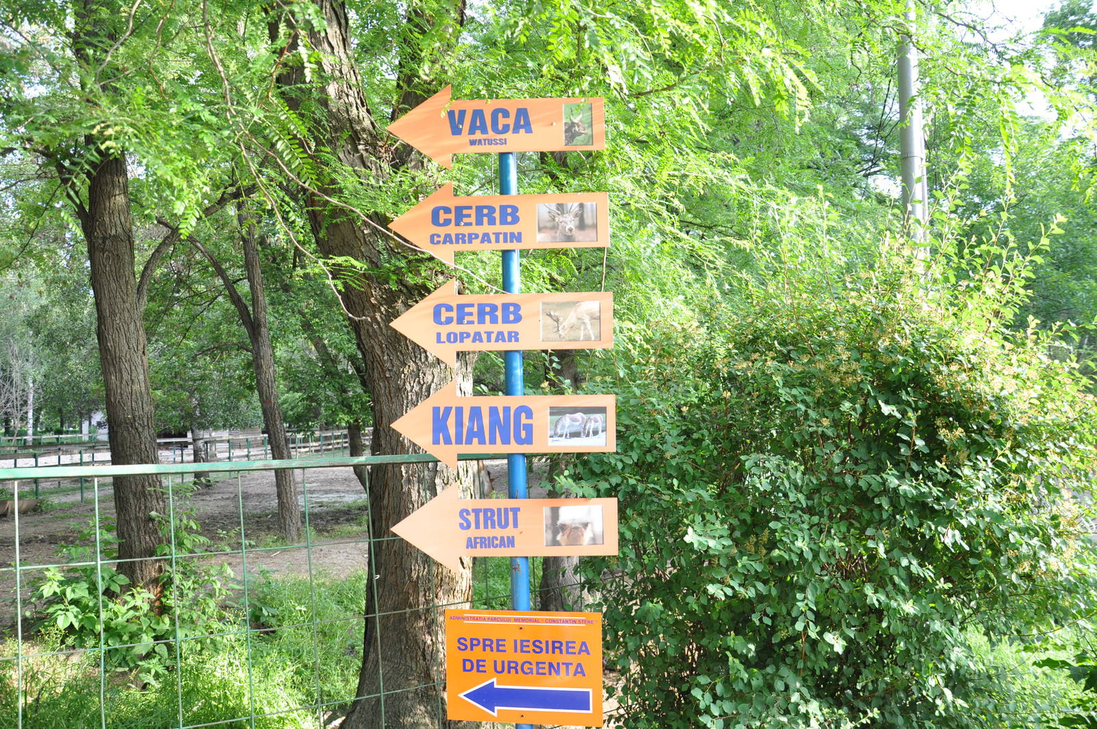 Directions in the zoo