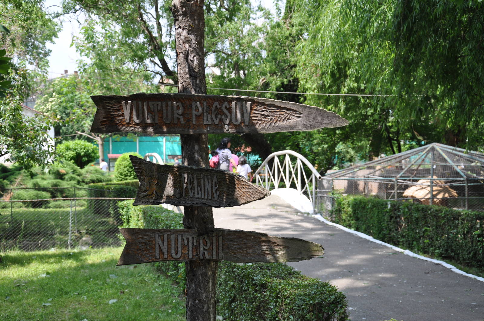 Directions in the zoo